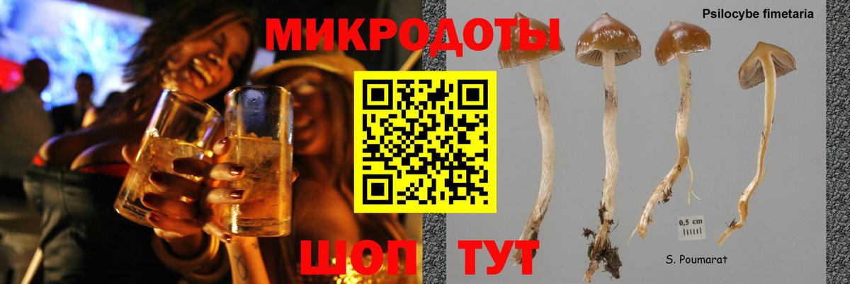Псилоцибиновые грибы ЛСД  Вход с VPN  Сергиев Посад  Псилоцибиновые грибы мухоморы 